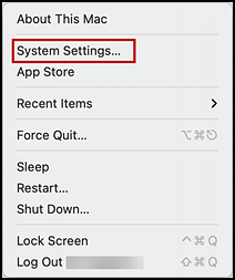 Apple Menu with the System Settings item indicated.