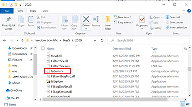 File explorer window open to the Jaws 2020 folder listing the existing fsdomserv file