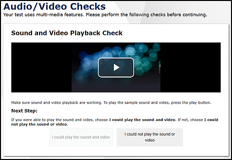 Audio/Video Checks screen showing the Play Video button