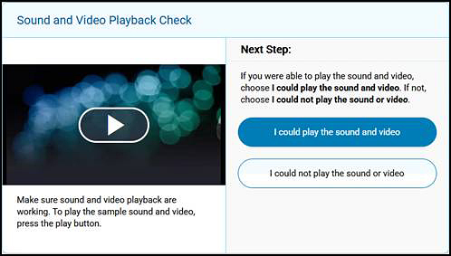 Sound and Video Playback Check screen.