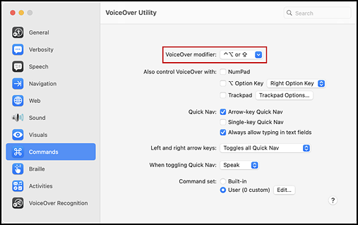 VoiceOver Utility screen with the VoiceOver modifier list option indicated.
