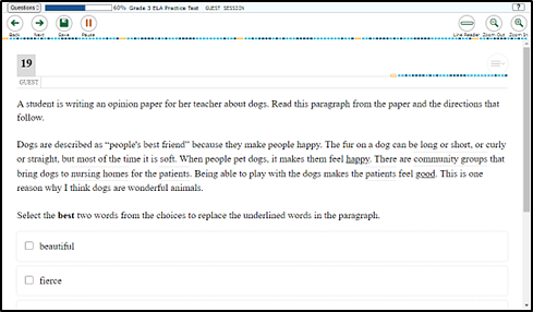 Sample test question in streamlined mode layout, where the test content is laid out vertically.