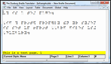 Duxbury Braille Translator window displaying a preview of the braille content.