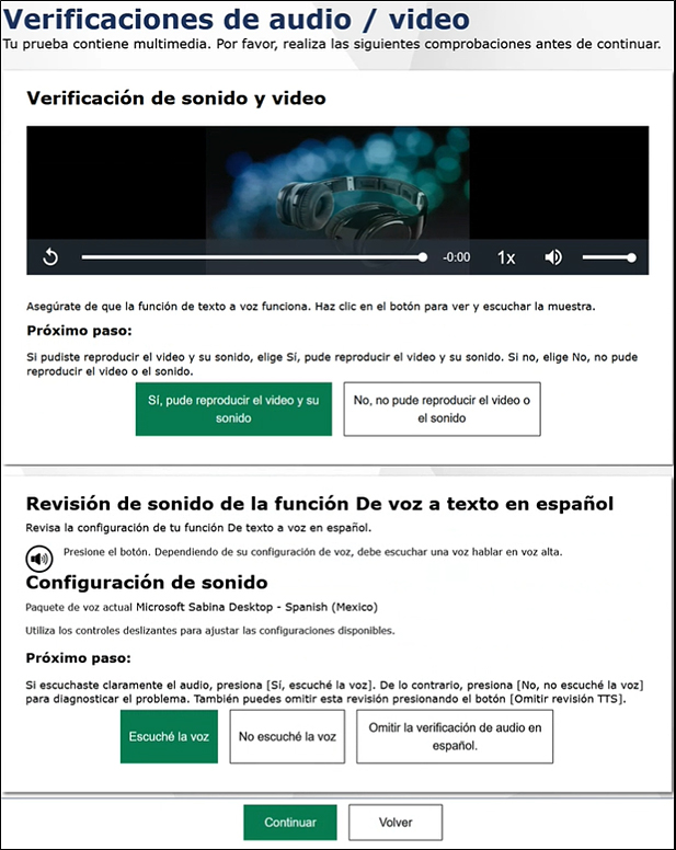Sound, Video, and Text-to-Speech Playback Check screen
