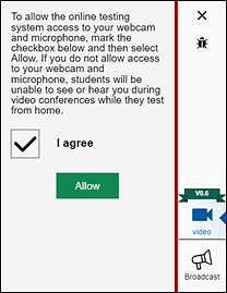 Allow Testing System Access pop-up box with I agree checkbox selected and Allow button presented
