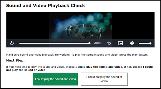 Sound and Video Playback Check section of the Audio/Video Checks screen.