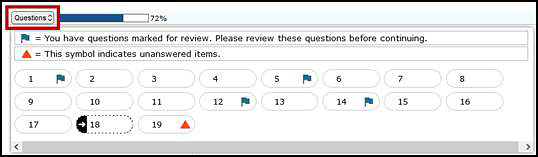 Questions toggle list showing the Review button that returns the student to the Submit Test page.