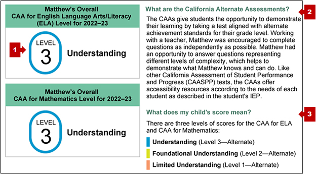 Bottom of the first page of the CAAs SSR, with callouts pointing to the student's achievement level, a description of the CAAs, and a list of reporting levels