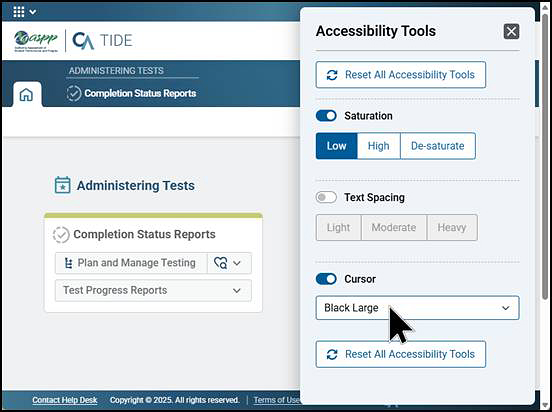 Accessibility Tools panel with toggles and options for saturation, text spacing, and cursor.