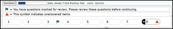 Sample Questions drop-down list with flag and triangle symbols next to question numbers.