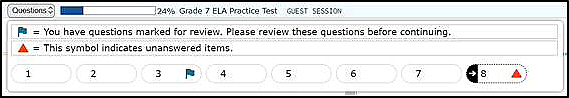 Sample Questions drop-down list with flag and triangle symbols next to question numbers.