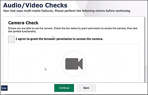 Audio/Video Check screen with checkbox for agreeing to give permission to access the camera