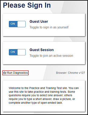 Top section of the Practice and Training Tests website with the Run Diagnostics link indicated